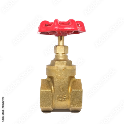 Bronze gate valve