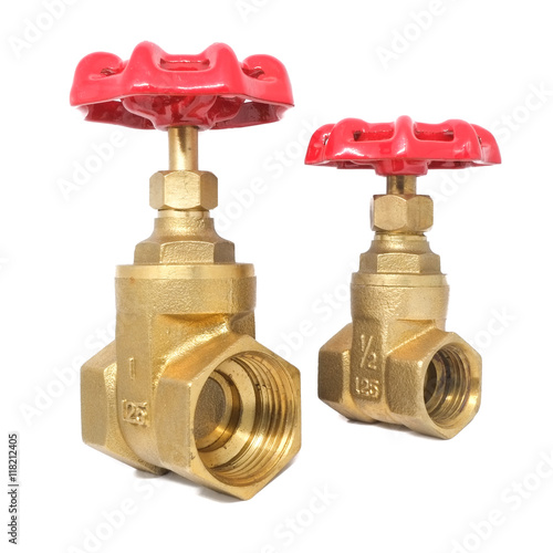 Bronze gate valve