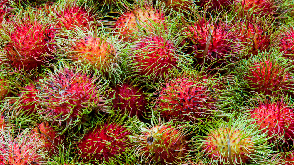 Ramadan - Tropical Fruits Rambutan Ramadan - Tropical Fruits Rambutan