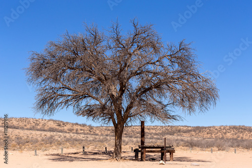 dry kgalagadi transfontier park photo