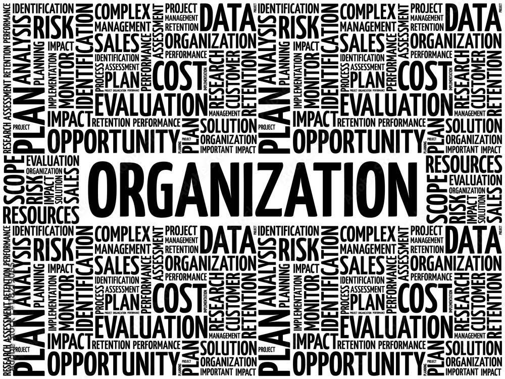 ORGANIZATION word cloud collage, business concept background