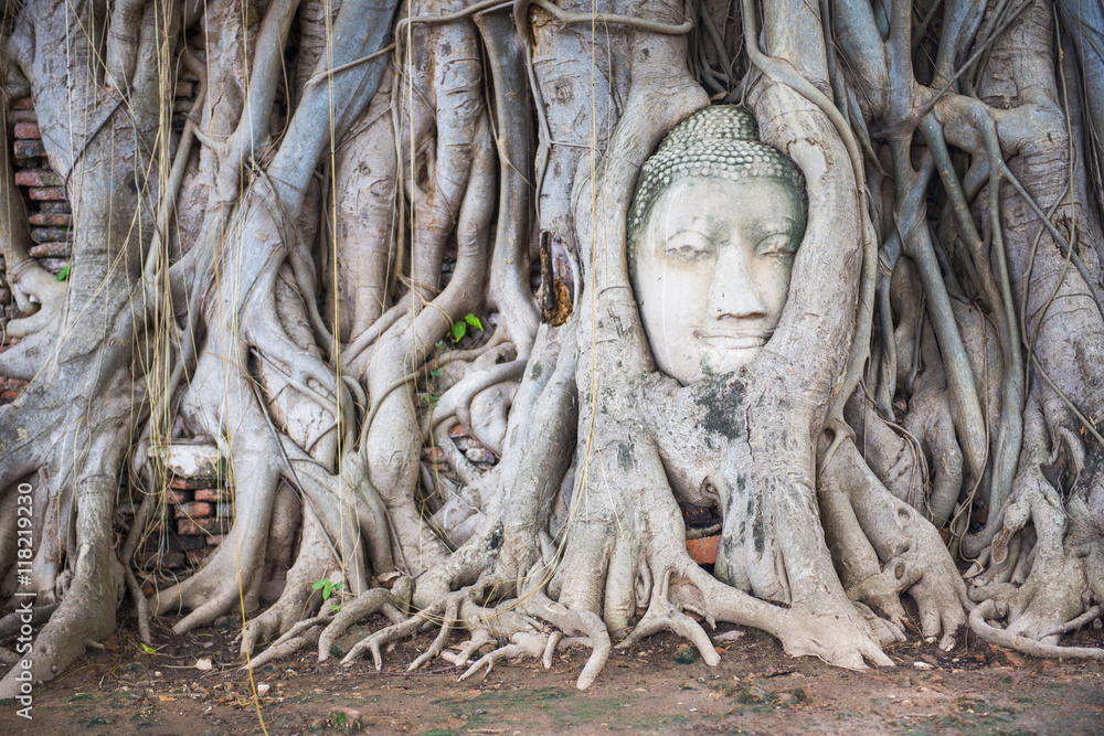Head of Ancient Buddha Statue in tree roots at Mahathat Temple Head of Ancient Buddha Statue in tree roots at Mahathat Temple