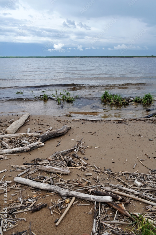 Fototapeta premium gray beach with driftwood and sky
