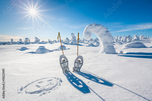 Obraz na płótnie Snow shoes in fell on sunny day