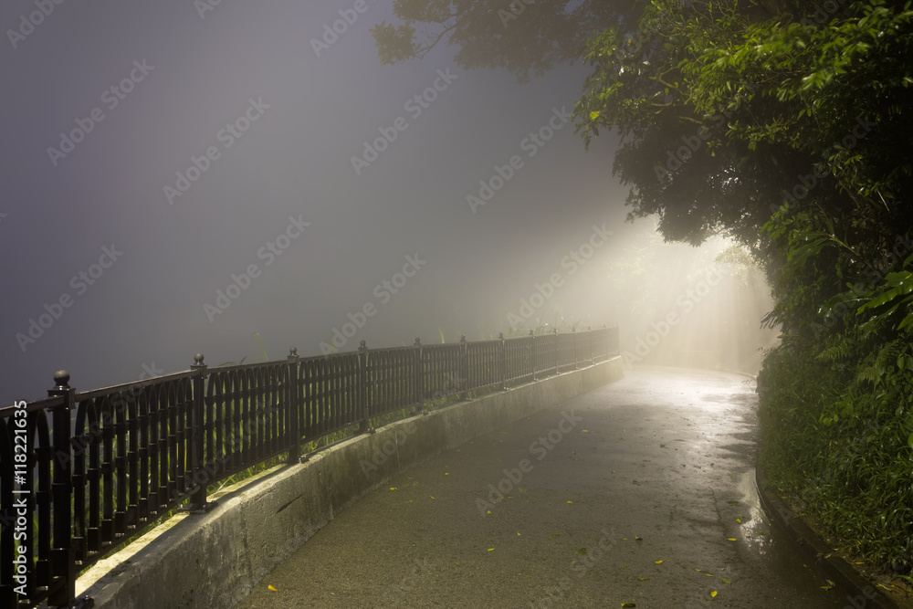 Mystery Fog in the dark park with way to light