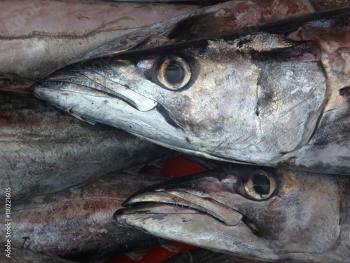 Hake fishes on a market