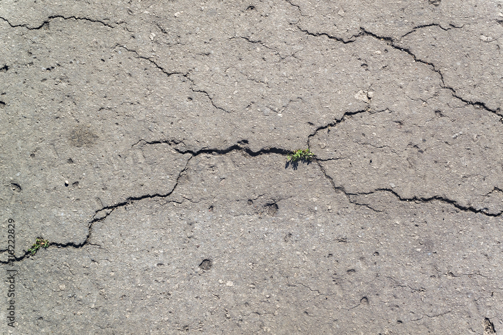 Fototapeta premium Texture of the old road with cracks