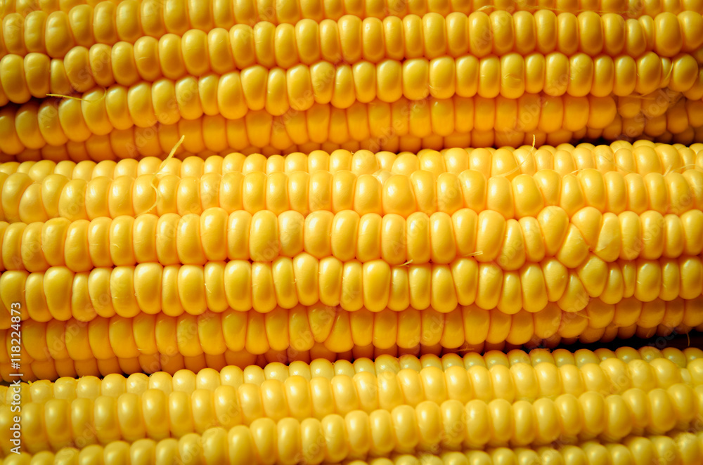 corn background