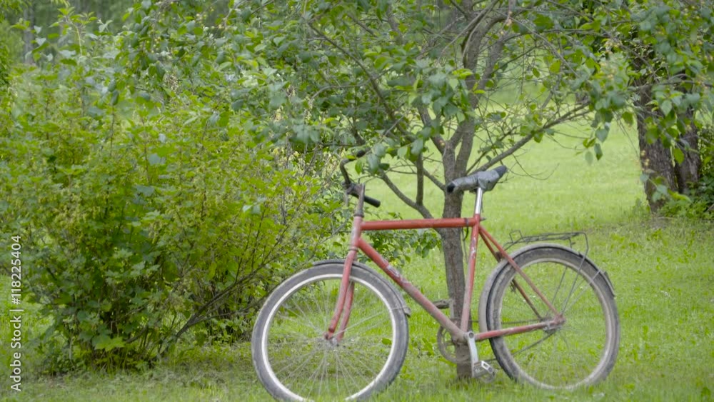 An old bicycle being parked on the tree on the yard of the house An old bicycle being parked on the tree on the yard of the house