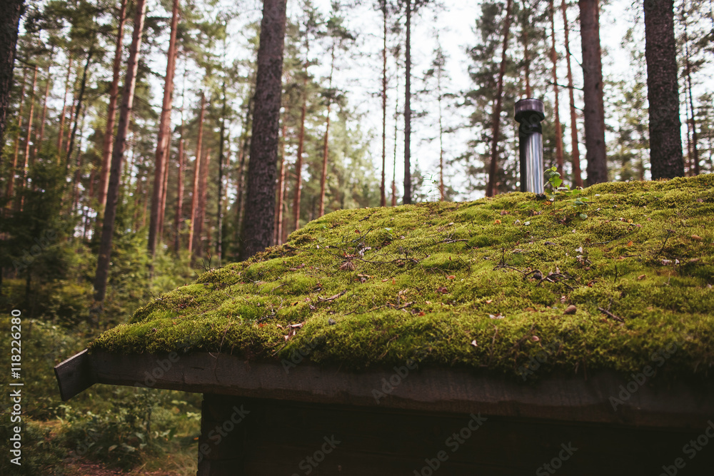 green roof of a wooden house in the woods green roof of a wooden house in the woods