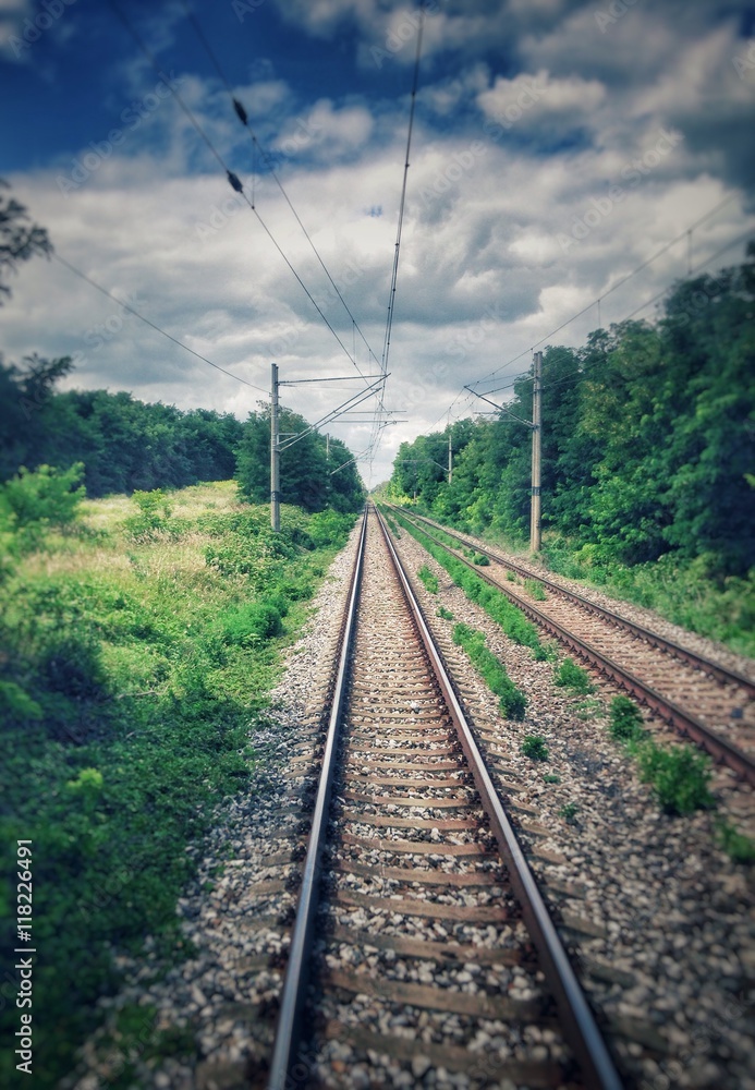 Railway road in a forest, shot from last wagon of a train during movement