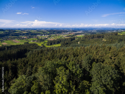 Wälder im Mostviertel