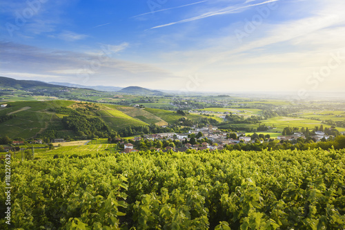 Landscape of Beaujolais land with vineyards and hills, France