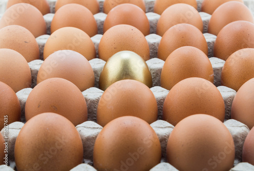 Single gold egg and many normal hen eggs in carton