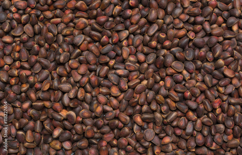 Siberian pine nuts texture © teiki2e