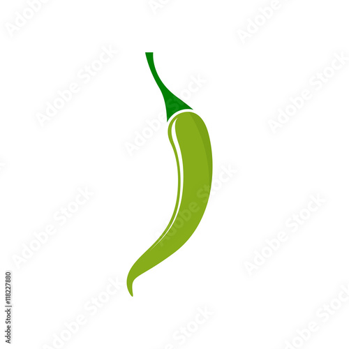 Green hot chili pepper - Vector 