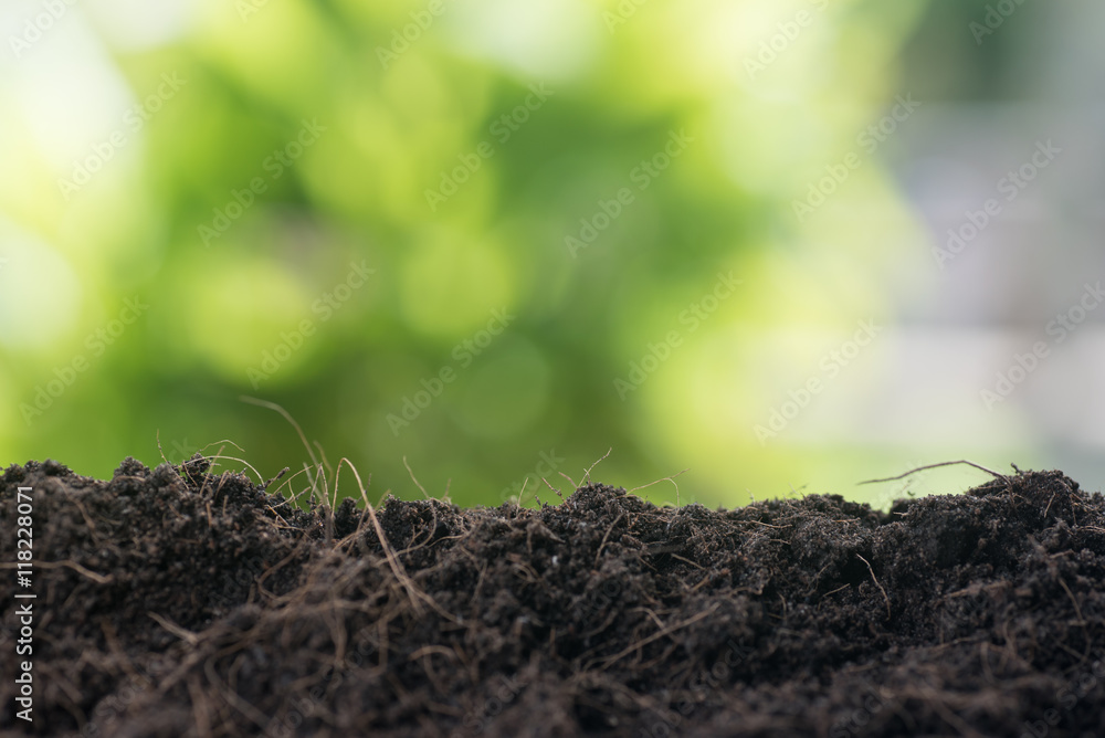 empty soil ready for plant with green leaf background empty soil ready for plant with green leaf background