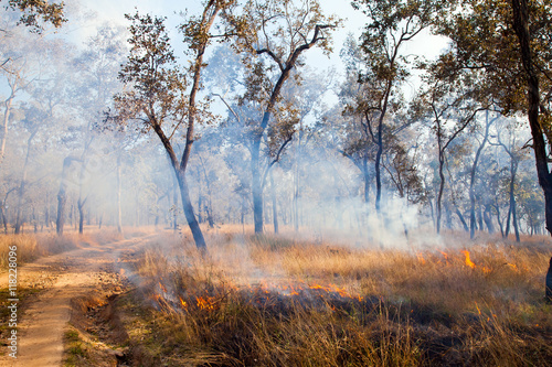 Grass Fire - Australian Bush Burn Off
