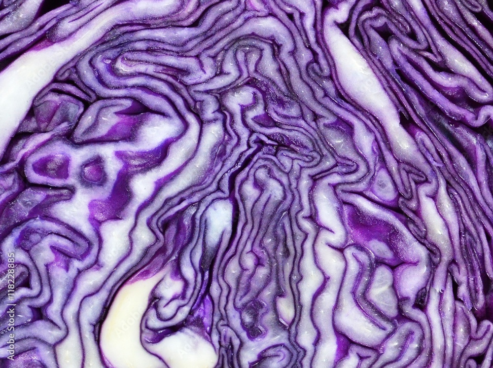 Slice red cabbage, forming an interesting violet-white pattern background, macro Slice red cabbage, forming an interesting violet-white pattern background, macro