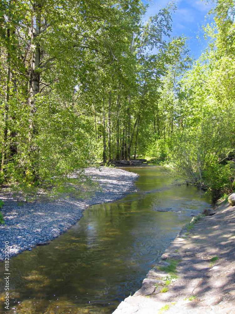 Obraz premium View of small forest river with gravel coast.