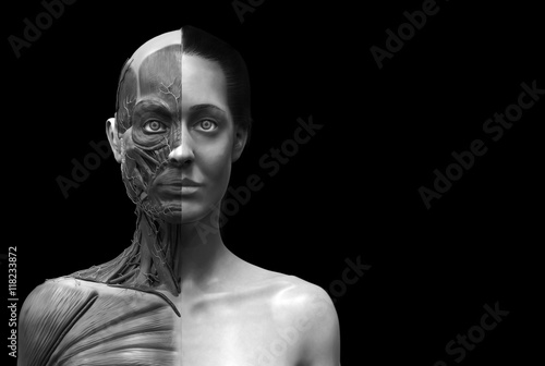 Human anatomy - muscle anatomy of the face neck and chest front view of a female - black and white 3d render