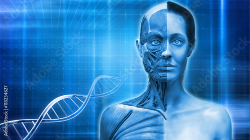 Fotografi Blue medical background of Human anatomy - muscle anatomy of the face neck and c