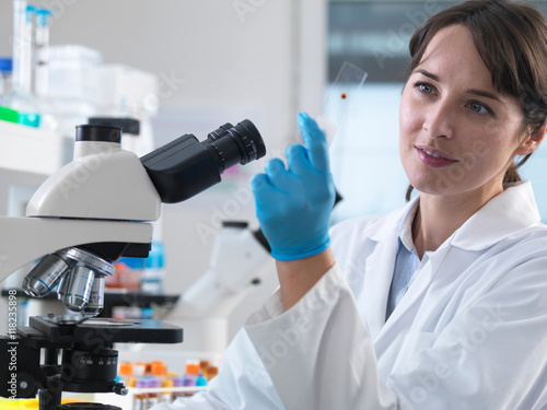 Scientist viewing human blood sample on glass slide in laboratory