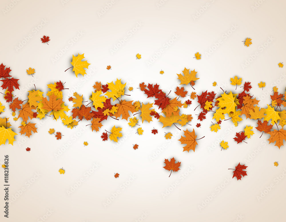 Autumn background with maple leaves.