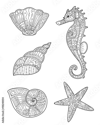 Adult coloring page with seashells, seahorse and starfish in zentangle style. Doodle hand drawn sketch of sea animals. Decorative element for T-shirt emblem, tattoo, logo.