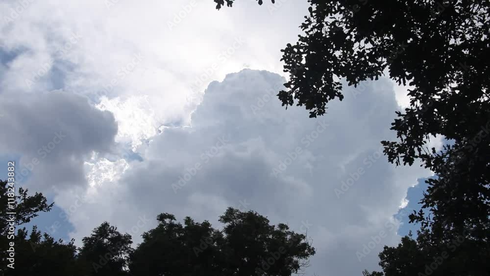Dramatic clouds in sky framed with trees. Dramatic clouds in sky framed with trees.