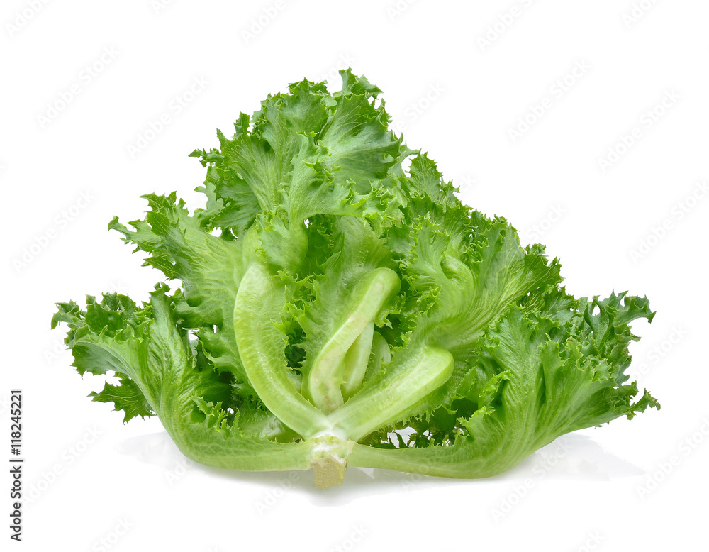green frillies iceberg lettuce isolated on white green frillies iceberg lettuce isolated on white