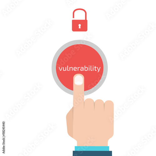 Vulnerability search. SEO optimization,web analytics, programmin