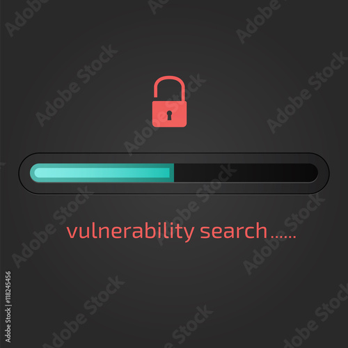 Vulnerability search. SEO optimization,web analytics, programmin