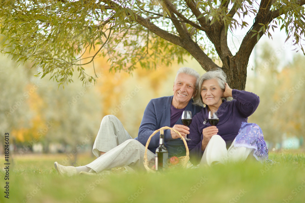 Fototapeta premium Couple having picnic