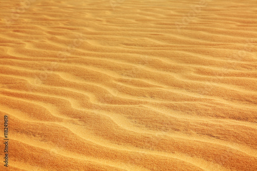 Dunes near Mui Ne. Vietnam © Andrey Shevchenko