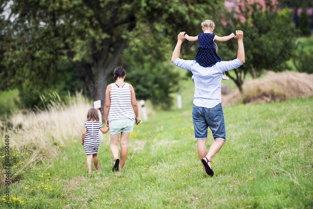 Back view of family with two children walking on a meadow