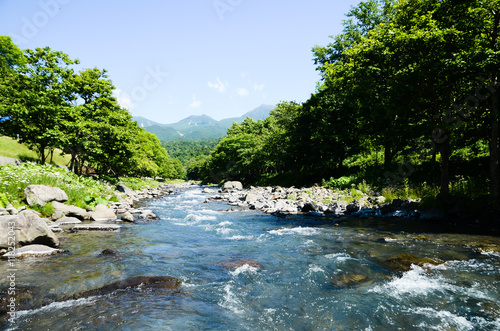 夏の知床　岩尾別川（北海道） © tatsuo115
