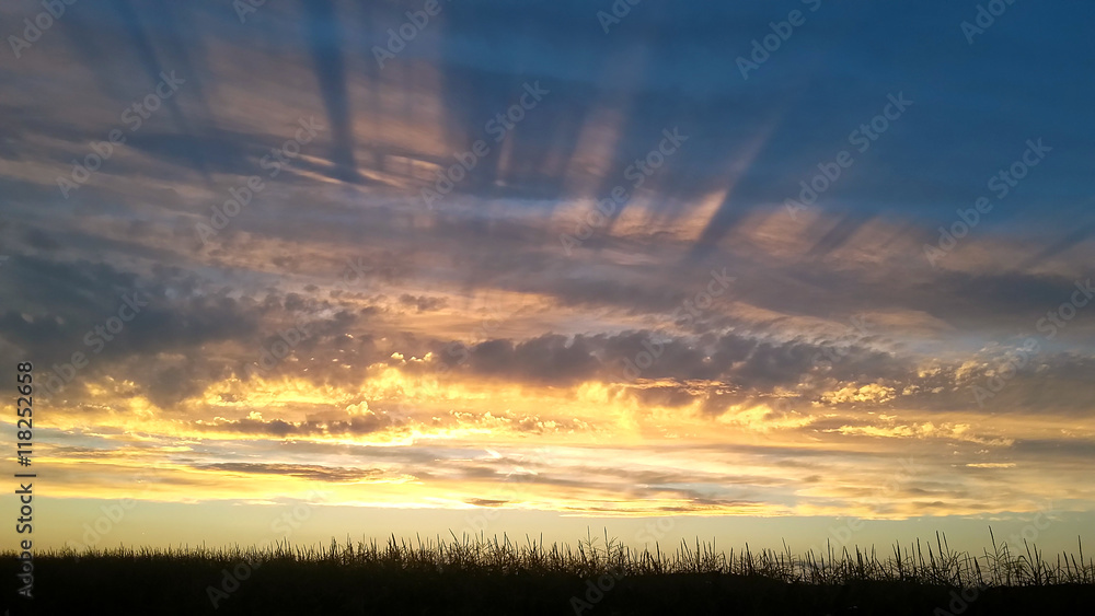 Fototapeta premium Sunset, sunrays of sun setting down