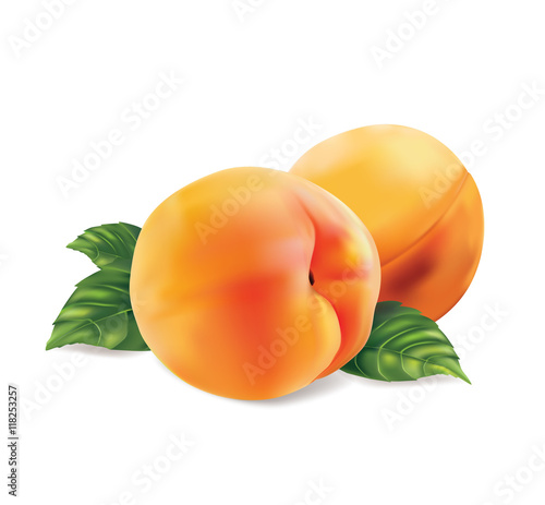 Peach on white background. Isolated. Vector illustration.