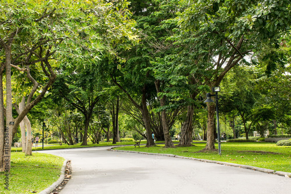 Obraz premium Flowers in the garden