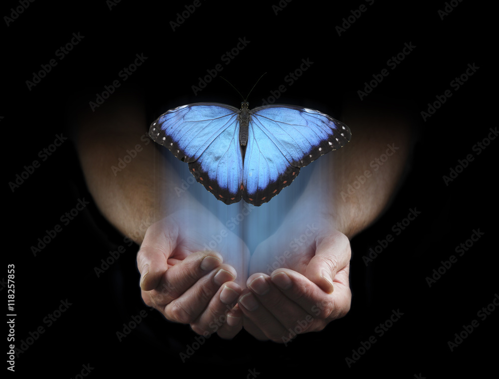 There are some things you cannot keep  - male hands cupped emerging from a black background with a large blue butterfly rising up with copy space above - obrazy, fototapety, plakaty 