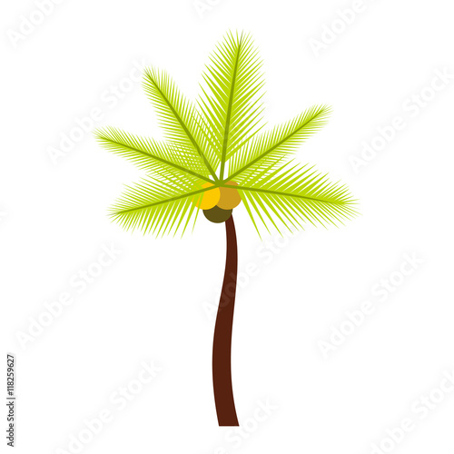 Palm butia capitata icon in flat style isolated on white background. Flora symbol photo