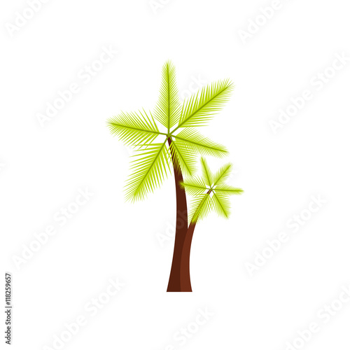 High palm tree icon in flat style isolated on white background. Flora symbol