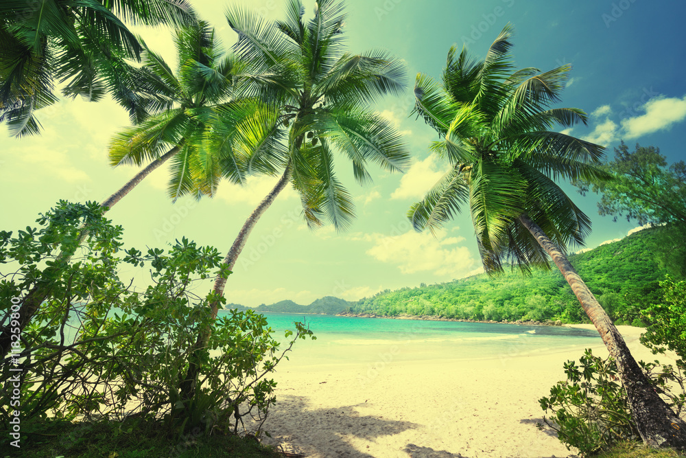 Naklejka premium tropikalna plaża Seszeli