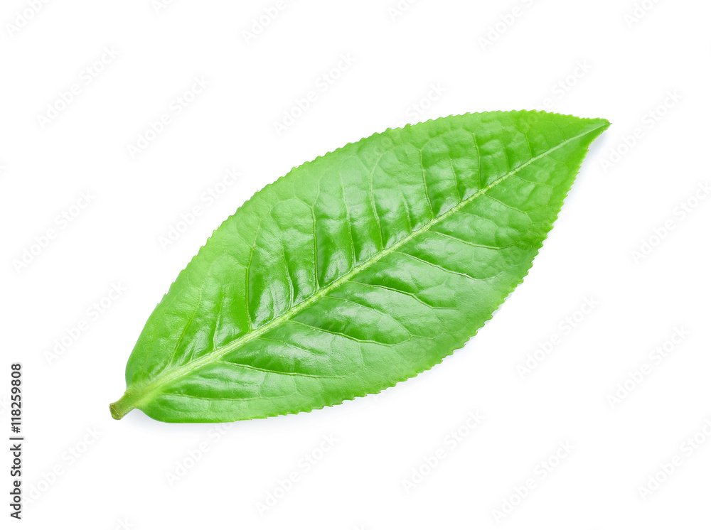 Obraz premium Green tea leaf isolated on white background