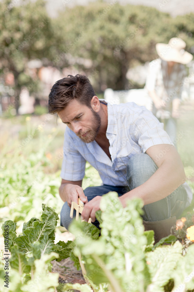 Portrait of mature in garden, tending to growing vegetables Portrait of mature in garden, tending to growing vegetables