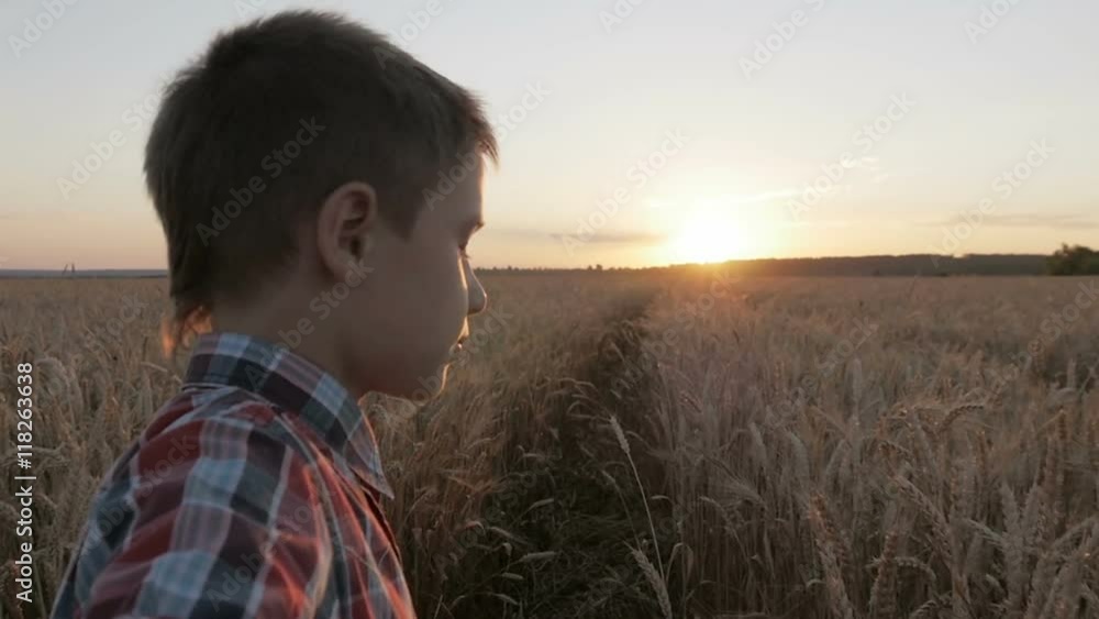 boy runs through a wheat field at sunset. Slow motion boy runs through a wheat field at sunset. Slow motion