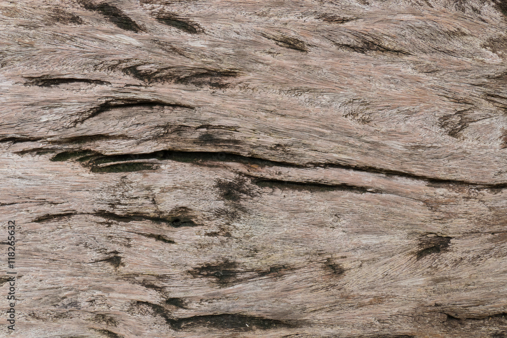 There are the wood wall. It is good background. There are the wood wall. It is good background.