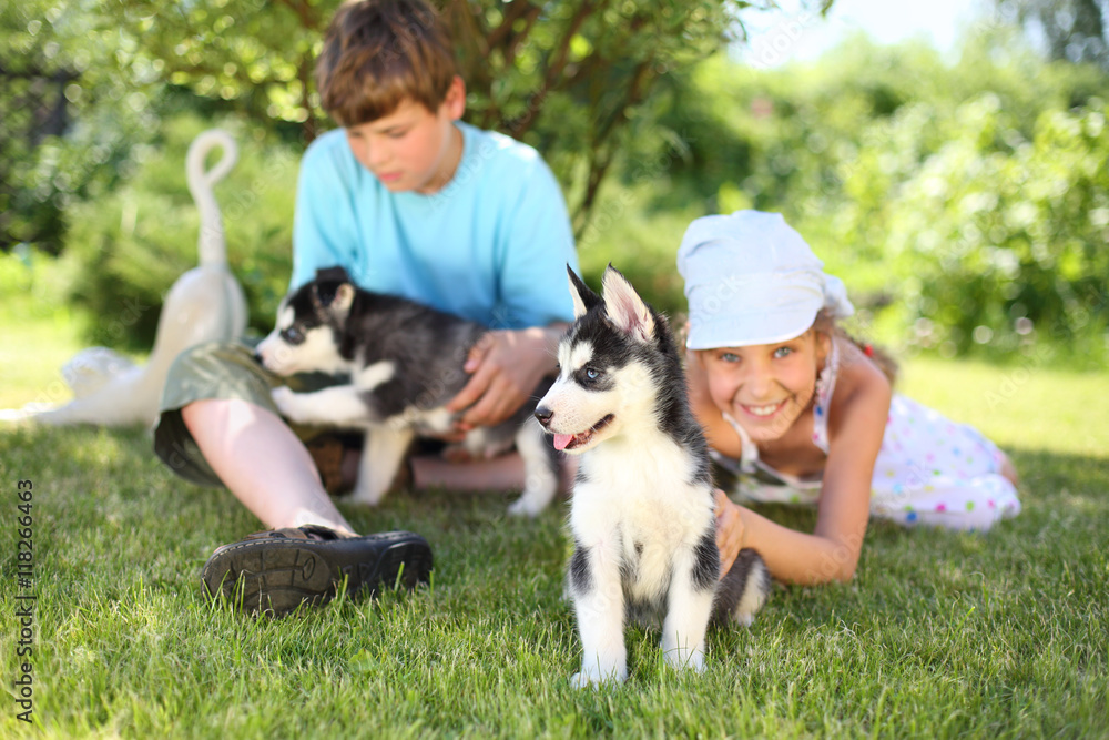 Happy boy and girl playing with two puppies husky on the grass Happy boy and girl playing with two puppies husky on the grass