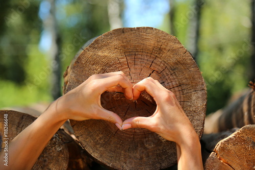 hands heart tree wood